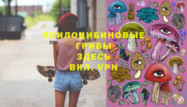 первитин Алексеевка