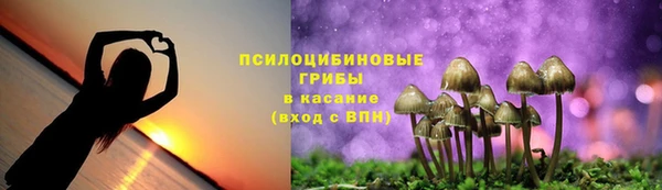 кокаин колумбия Алексин
